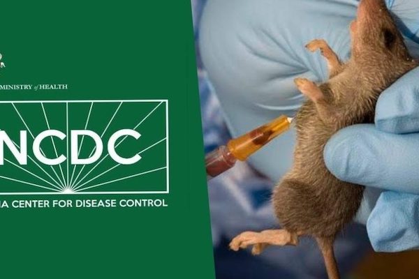 LASSA FEVER OUTBREAK IN BENUE: 10 HEALTH WORKERS DEAD, 45 CASES CONFIRMED.