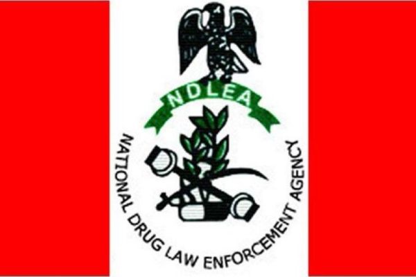 NDLEA NABS OGUN-BASED DOCTOR, IVORIAN OVER COCAINE SMUGGLING PLOT.