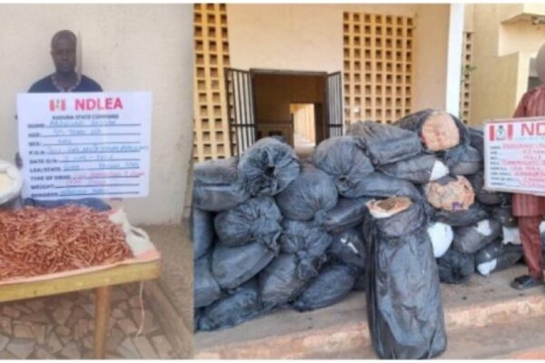NDLEA UNCOVERS AMMUNITION STASHED IN GARRI.