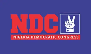 NDC NAMES 20-MEMBER PANEL TO SCREEN GOVERNORSHIP, NASS ASPIRANTS.