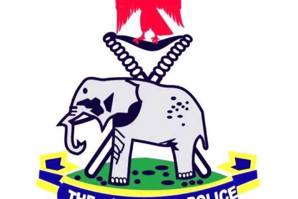 POLICE ARREST 27 SUSPECTED HOODLUMS IN NIGER.
