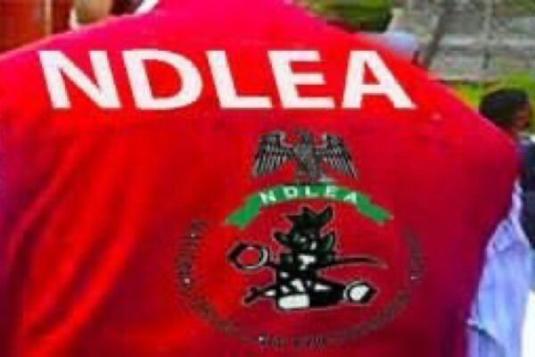 NDLEA SMASHES EDO DRUG CARTEL.