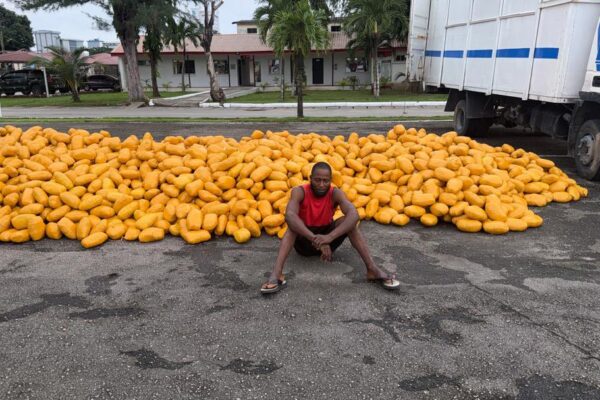 ARMY HANDS OVER SUSPECT, ILLICIT DRUGS TO NDLEA AFTER LAGOS COASTAL ROAD BUST.