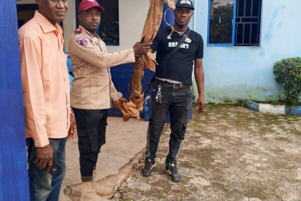GUN RECOVERED AS FRSC RESPONDS TO ANAMBRA HIGHWAY CRASH