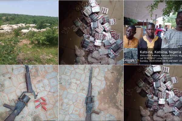 KATSINA OPERATION YIELDS RESCUE, ARRESTS AND RECOVERY OF STOLEN ANIMALS.