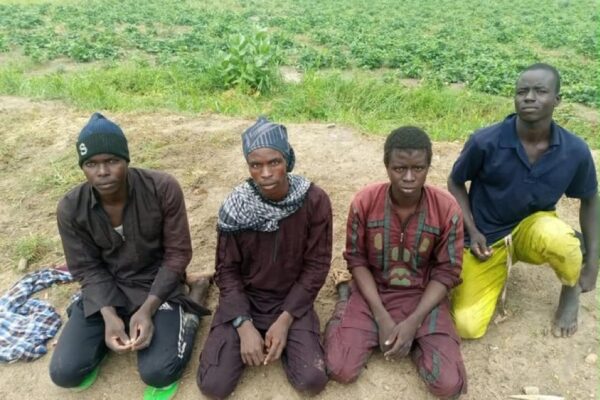 150 TERRORISTS DUMP ARMS, SURRENDER TO TROOPS IN N/EAST WITHIN 7 DAYS.
