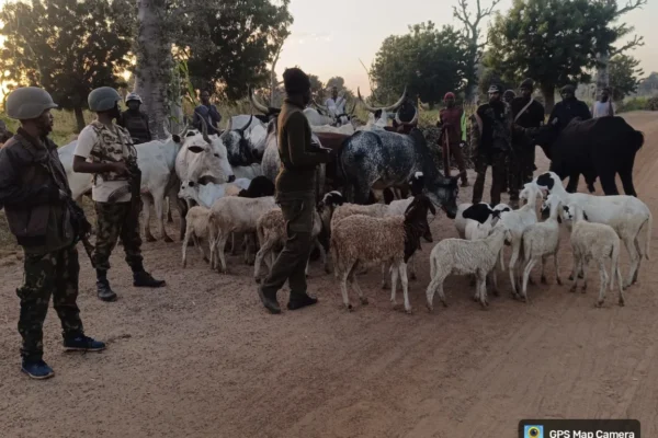 ARMY FOILS TERRORIST ATTACK IN KADUNA, RECYCLES RUSTLED LIVESTOCK IN SOKOTO.